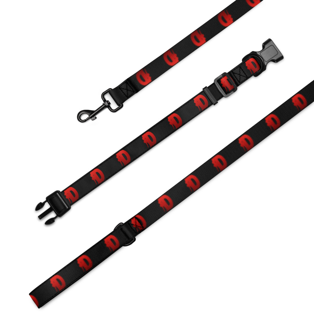 Daniland collar and leash